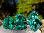 Natural Small Silky Malachite Specimens x 35 From Kasompe, Congo - Toprock Gemstones and Minerals 