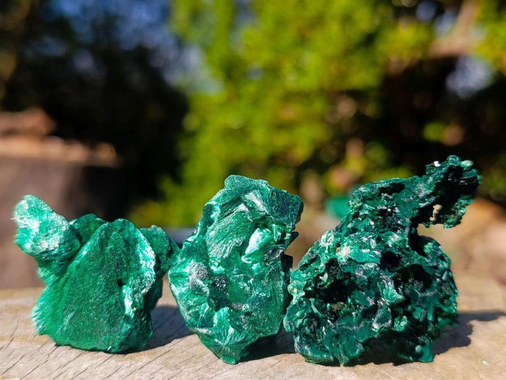 Natural Small Silky Malachite Specimens x 35 From Kasompe, Congo - Toprock Gemstones and Minerals 