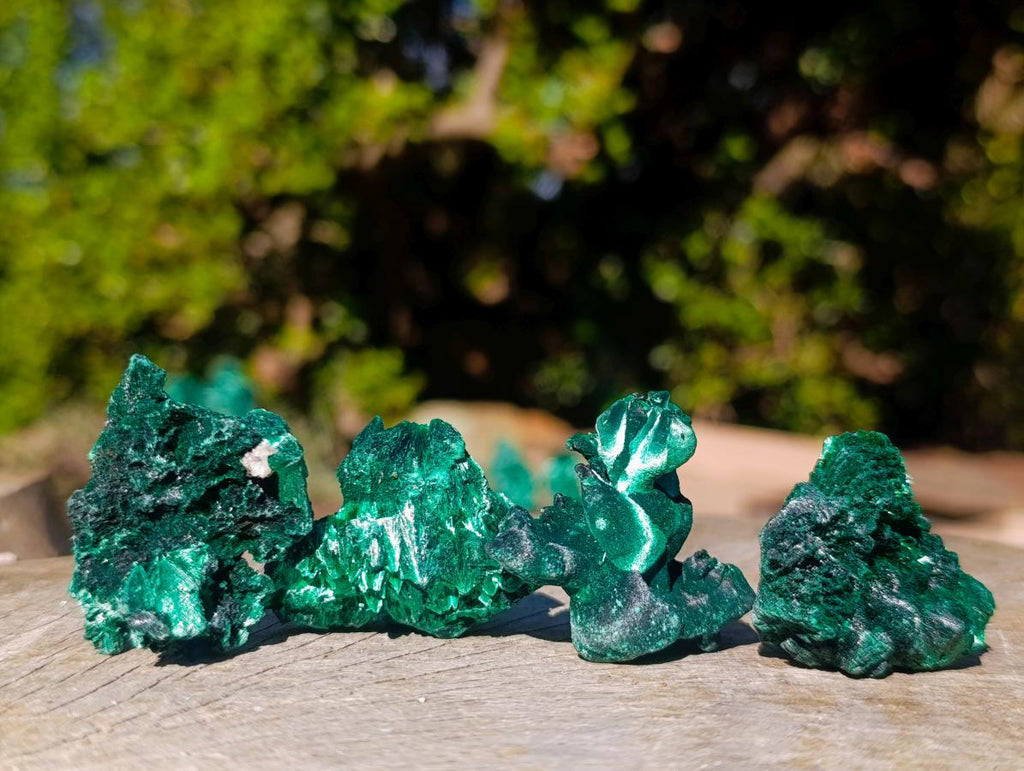 Natural Small Silky Malachite Specimens x 35 From Kasompe, Congo - Toprock Gemstones and Minerals 