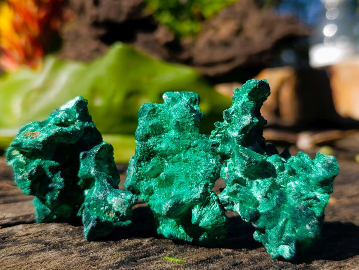 Natural Small Silky Malachite Specimens x 35 From Kasompe, Congo - Toprock Gemstones and Minerals 