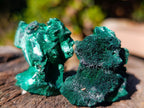 Natural Small Silky Malachite Specimens x 35 From Kasompe, Congo - Toprock Gemstones and Minerals 