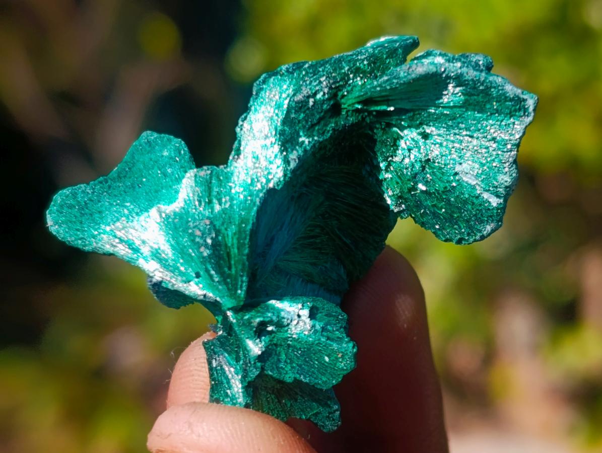Natural Small Silky Malachite Specimens x 35 From Kasompe, Congo - Toprock Gemstones and Minerals 
