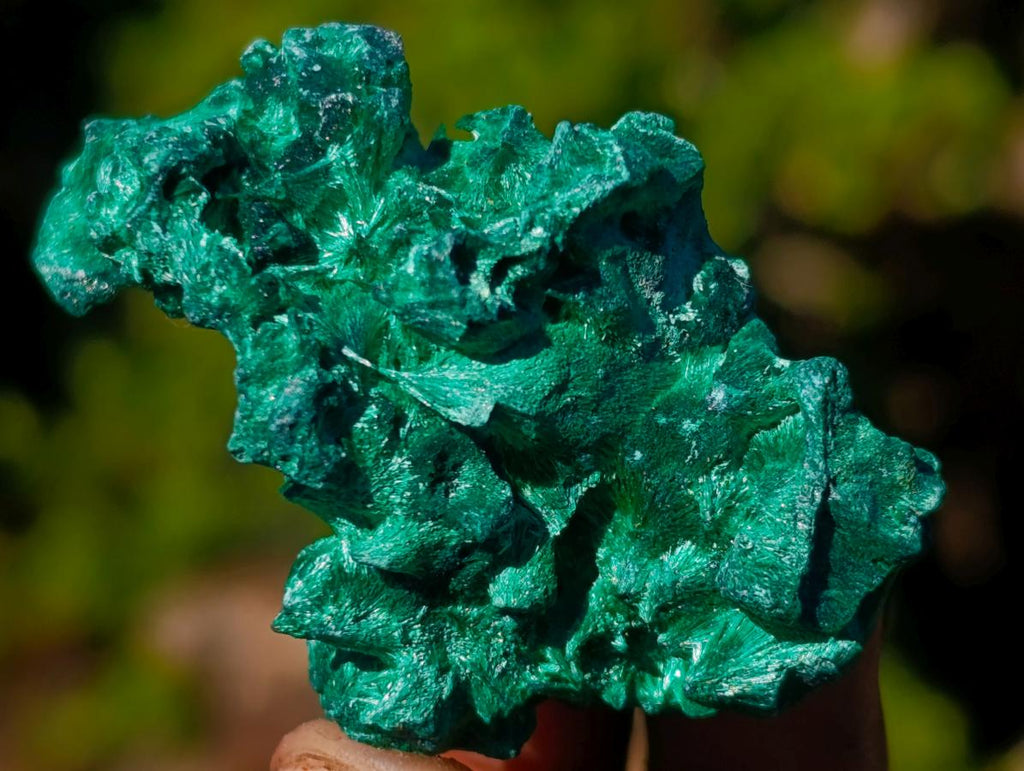 Natural Small Silky Malachite Specimens x 35 From Kasompe, Congo - Toprock Gemstones and Minerals 