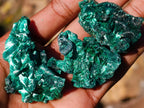 Natural Small Silky Malachite Specimens x 35 From Kasompe, Congo - Toprock Gemstones and Minerals 
