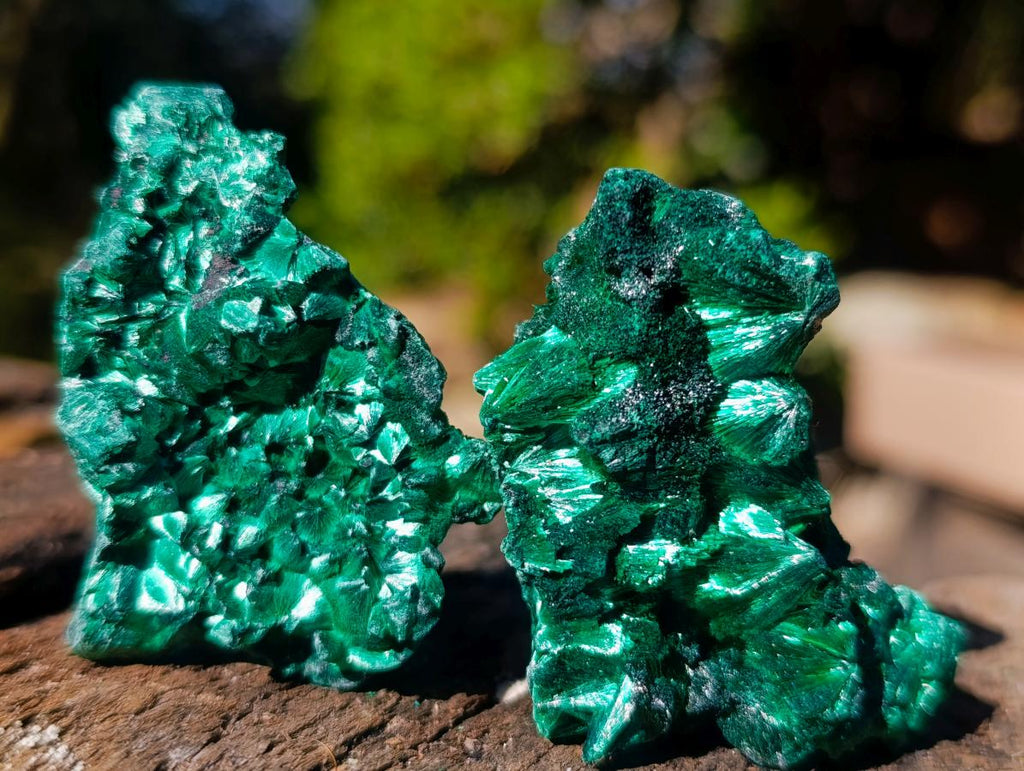 Natural Small Silky Malachite Specimens x 35 From Kasompe, Congo - Toprock Gemstones and Minerals 