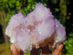 Natural Large Spirit Amethyst Clusters x 2 From Boekenhouthoek, South Africa - Toprock Gemstones and Minerals 