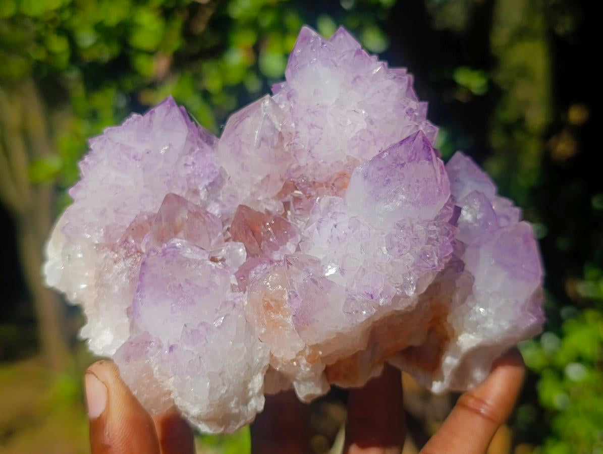 Natural Large Spirit Amethyst Clusters x 2 From Boekenhouthoek, South Africa - Toprock Gemstones and Minerals 