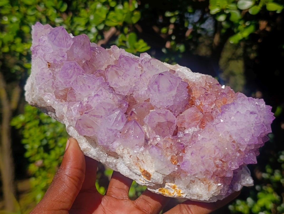 Natural Large Spirit Amethyst Clusters x 2 From Boekenhouthoek, South Africa - Toprock Gemstones and Minerals 