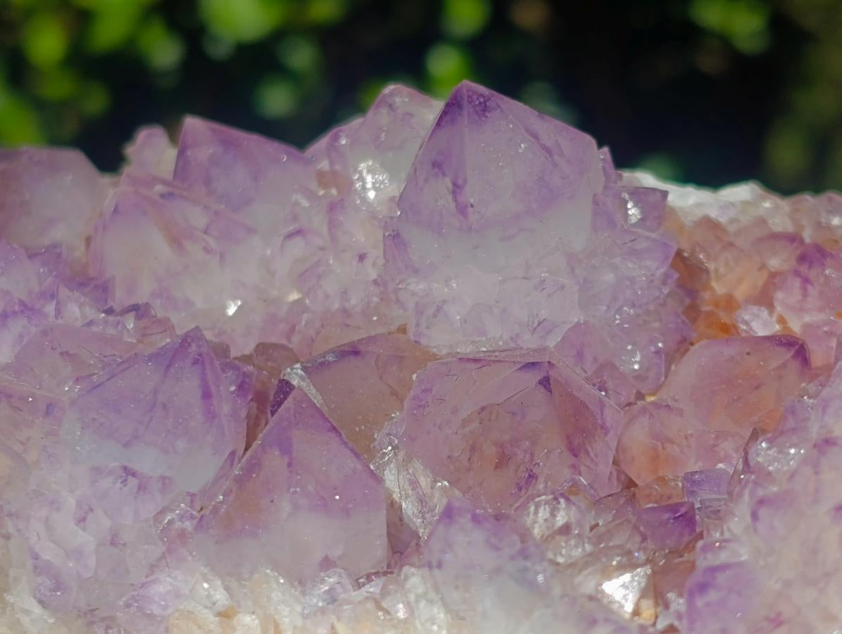 Natural Large Spirit Amethyst Clusters x 2 From Boekenhouthoek, South Africa - Toprock Gemstones and Minerals 