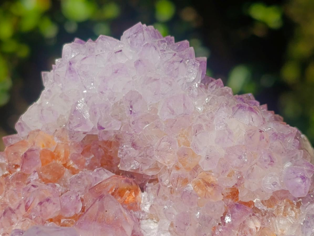 Natural Large Spirit Amethyst Clusters x 2 From Boekenhouthoek, South Africa - Toprock Gemstones and Minerals 