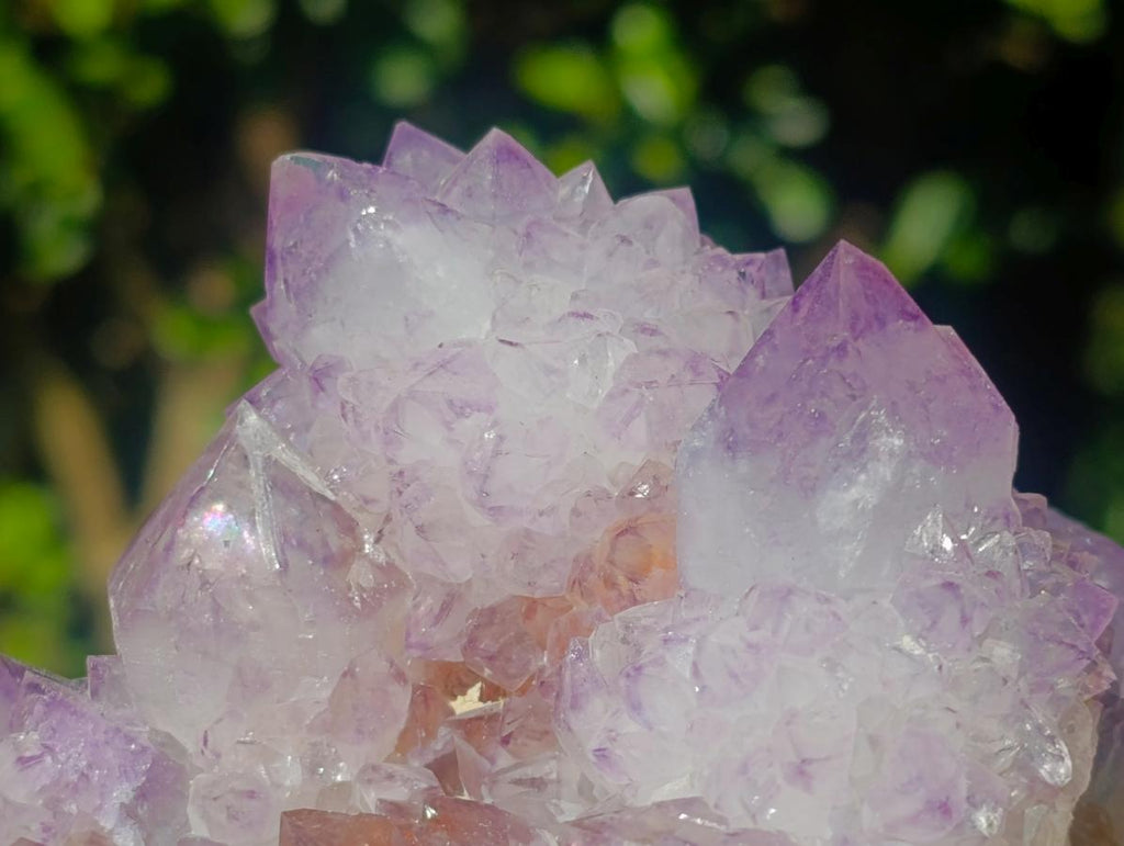 Natural Large Spirit Amethyst Clusters x 2 From Boekenhouthoek, South Africa - Toprock Gemstones and Minerals 