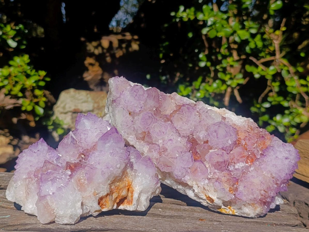 Natural Large Spirit Amethyst Clusters x 2 From Boekenhouthoek, South Africa - Toprock Gemstones and Minerals 