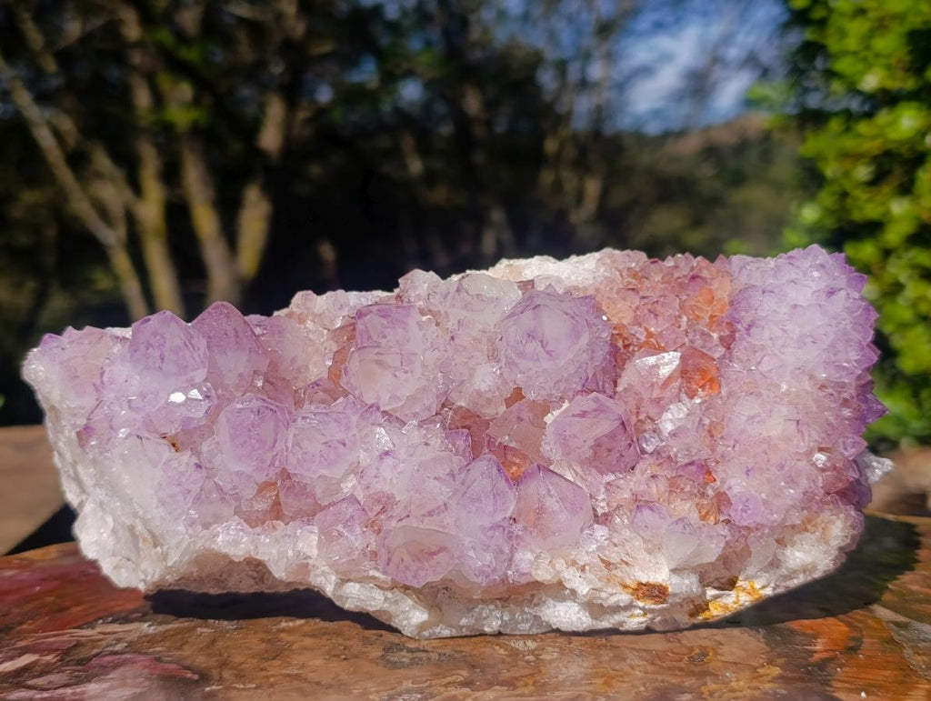 Natural Large Spirit Amethyst Clusters x 2 From Boekenhouthoek, South Africa - Toprock Gemstones and Minerals 
