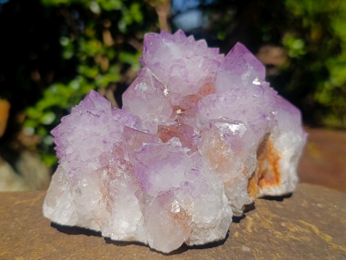 Natural Large Spirit Amethyst Clusters x 2 From Boekenhouthoek, South Africa - Toprock Gemstones and Minerals 