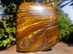 Polished Golden Tigers Eye Standing Display Pieces x 2 From Prieska, South Africa - Toprock Gemstones and Minerals 