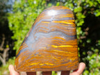 Polished Golden Tigers Eye Standing Display Pieces x 2 From Prieska, South Africa - Toprock Gemstones and Minerals 