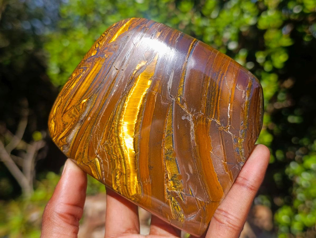 Polished Golden Tigers Eye Standing Display Pieces x 2 From Prieska, South Africa - Toprock Gemstones and Minerals 