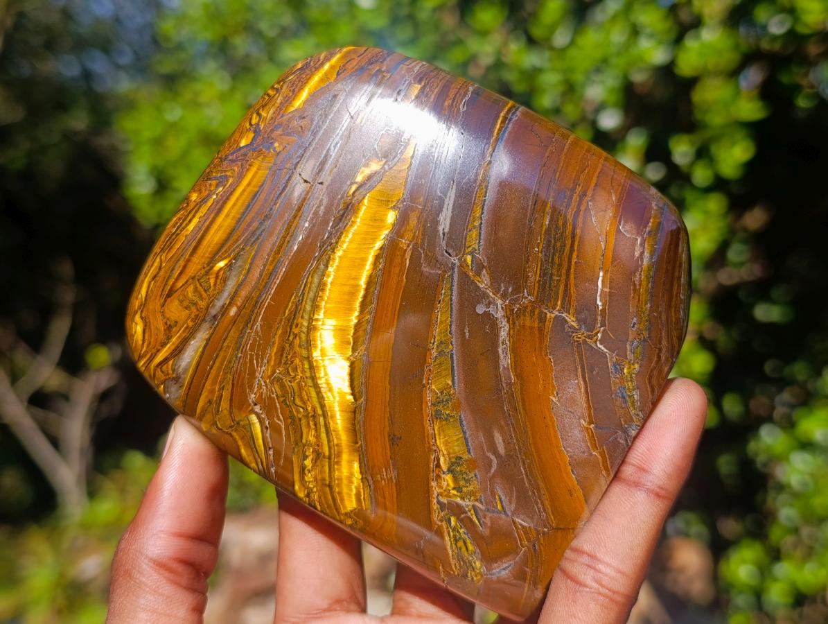 Polished Golden Tigers Eye Standing Display Pieces x 2 From Prieska, South Africa - Toprock Gemstones and Minerals 