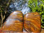 Polished Golden Tigers Eye Standing Display Pieces x 2 From Prieska, South Africa - Toprock Gemstones and Minerals 