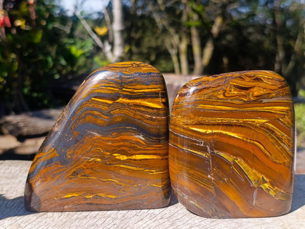 Polished Golden Tigers Eye Standing Display Pieces x 2 From Prieska, South Africa - Toprock Gemstones and Minerals 