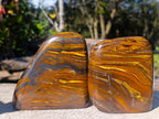 Polished Golden Tigers Eye Standing Display Pieces x 2 From Prieska, South Africa - Toprock Gemstones and Minerals 