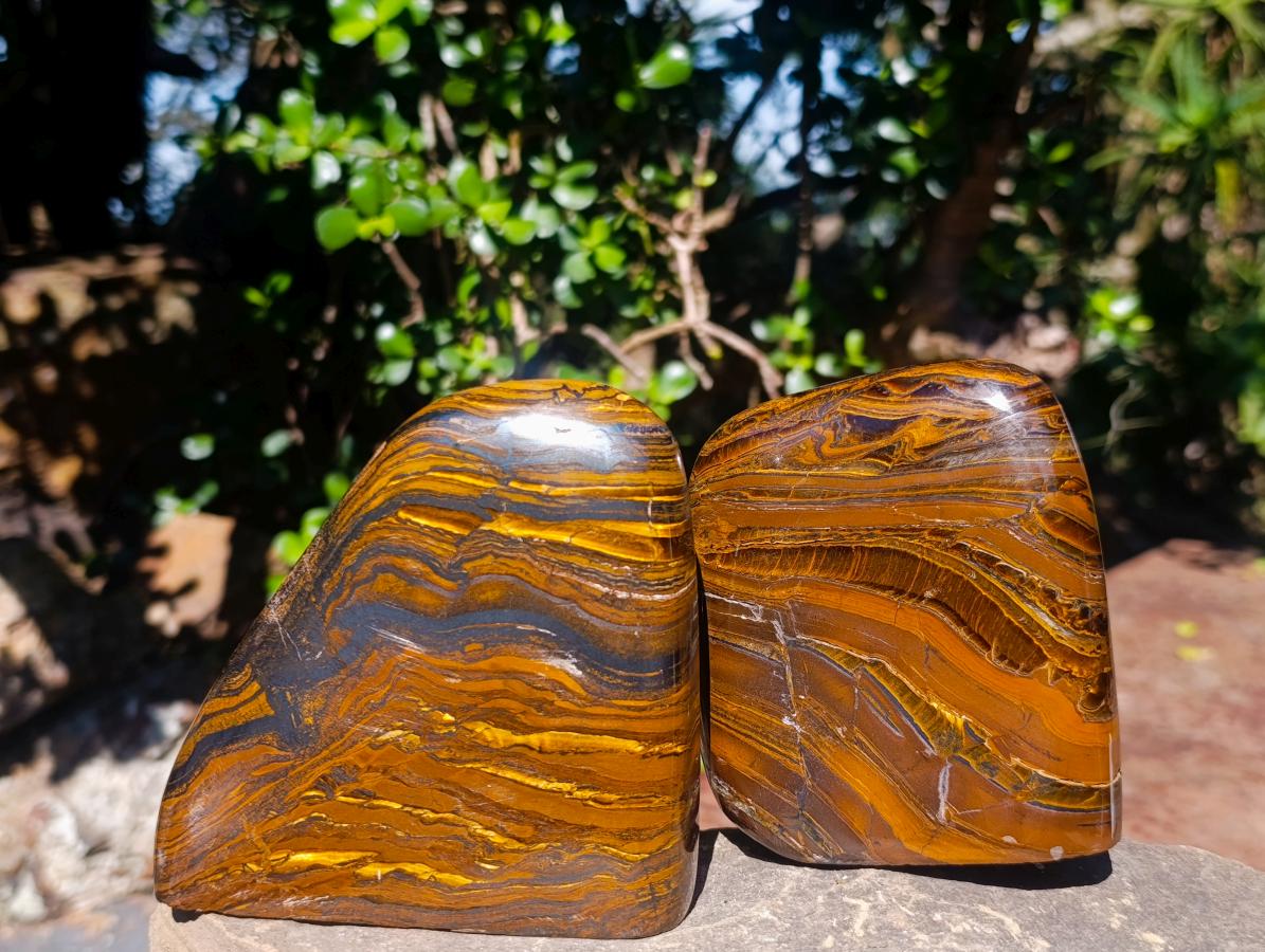 Polished Golden Tigers Eye Standing Display Pieces x 2 From Prieska, South Africa - Toprock Gemstones and Minerals 