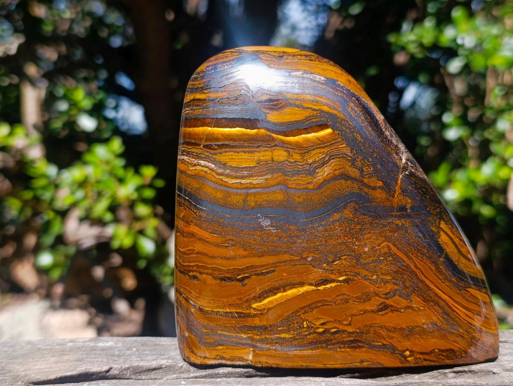 Polished Golden Tigers Eye Standing Display Pieces x 2 From Prieska, South Africa - Toprock Gemstones and Minerals 