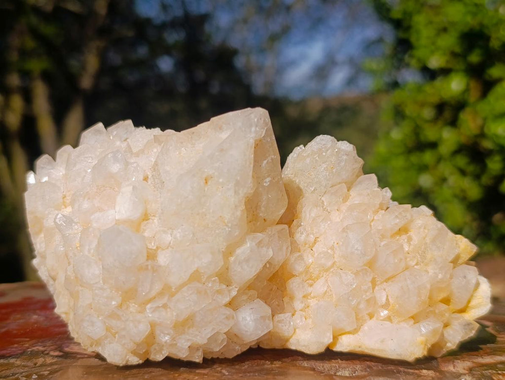 Natural Cascading Window Candle Quartz Clusters x 5 From Antsirabe, Madagascar - Toprock Gemstones and Minerals 