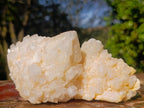Natural Cascading Window Candle Quartz Clusters x 5 From Antsirabe, Madagascar - Toprock Gemstones and Minerals 
