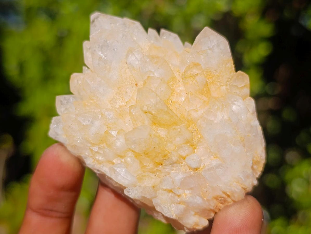 Natural Cascading Window Candle Quartz Clusters x 5 From Antsirabe, Madagascar - Toprock Gemstones and Minerals 