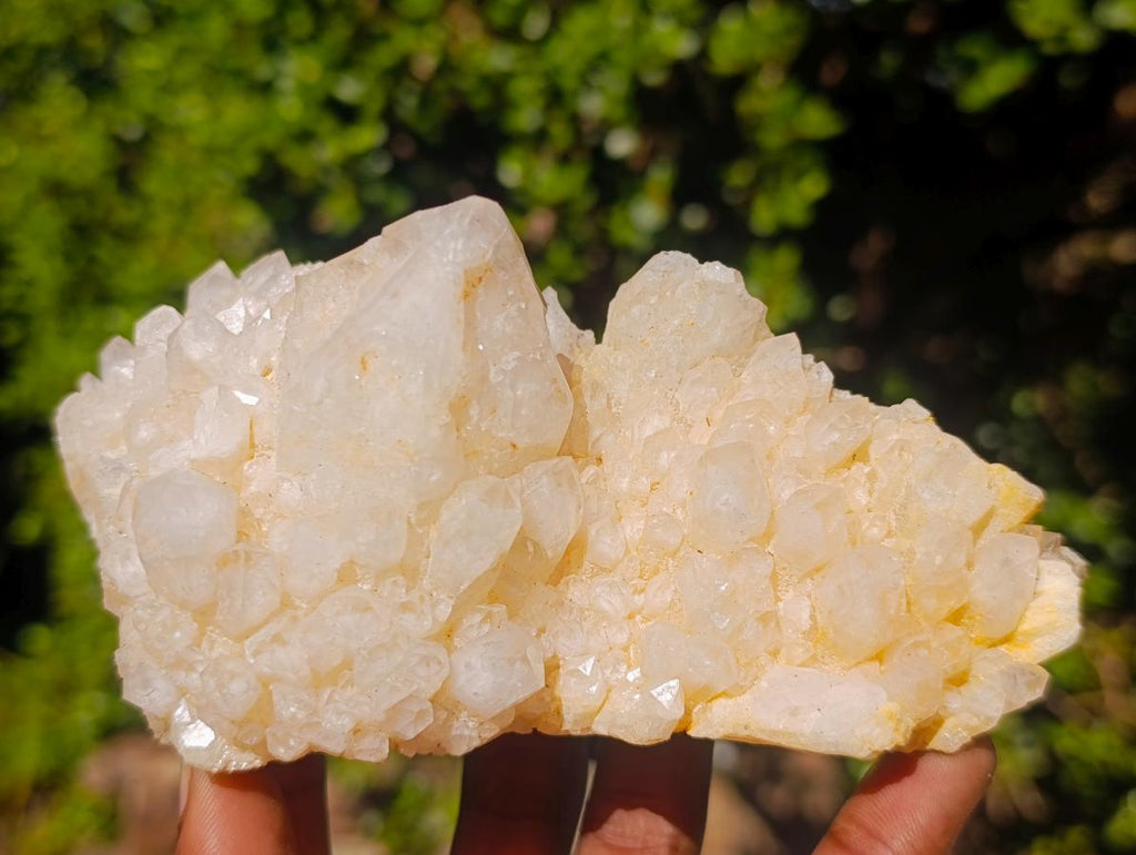 Natural Cascading Window Candle Quartz Clusters x 5 From Antsirabe, Madagascar - Toprock Gemstones and Minerals 