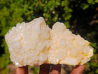 Natural Cascading Window Candle Quartz Clusters x 5 From Antsirabe, Madagascar - Toprock Gemstones and Minerals 