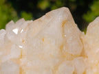 Natural Cascading Window Candle Quartz Clusters x 5 From Antsirabe, Madagascar - Toprock Gemstones and Minerals 