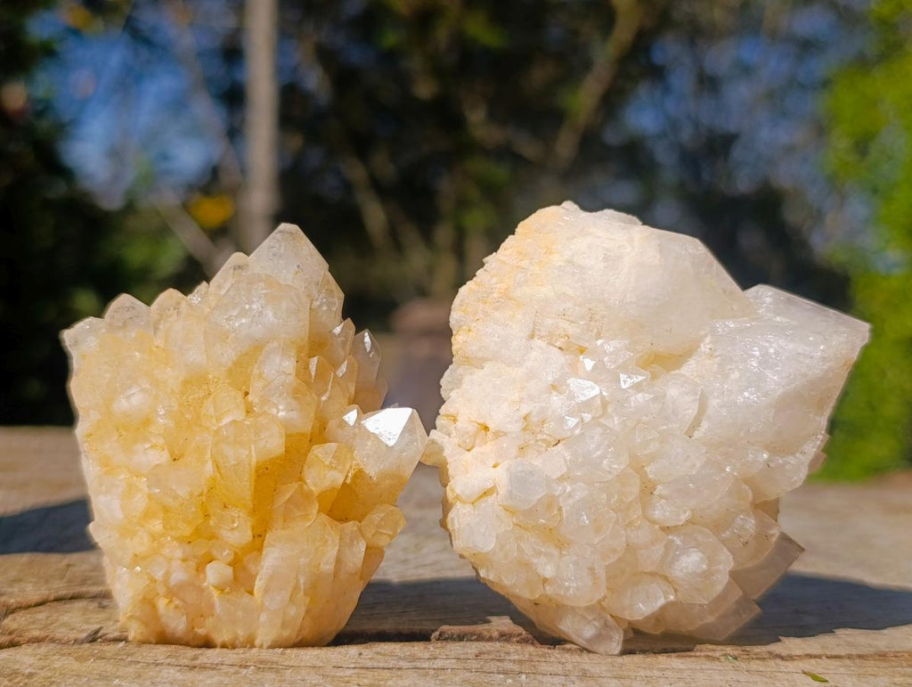 Natural Cascading Window Candle Quartz Clusters x 5 From Antsirabe, Madagascar - Toprock Gemstones and Minerals 