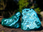 Polished Malacolla Free Forms x 12 From Kulukuluku, Congo - Toprock Gemstones and Minerals 
