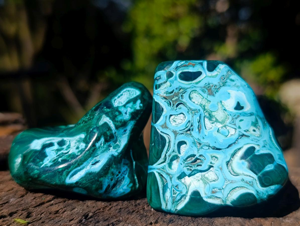 Polished Malacolla Free Forms x 12 From Kulukuluku, Congo - Toprock Gemstones and Minerals 