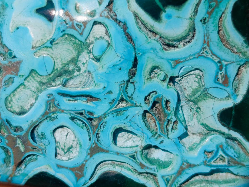 Polished Malacolla Free Forms x 12 From Kulukuluku, Congo - Toprock Gemstones and Minerals 