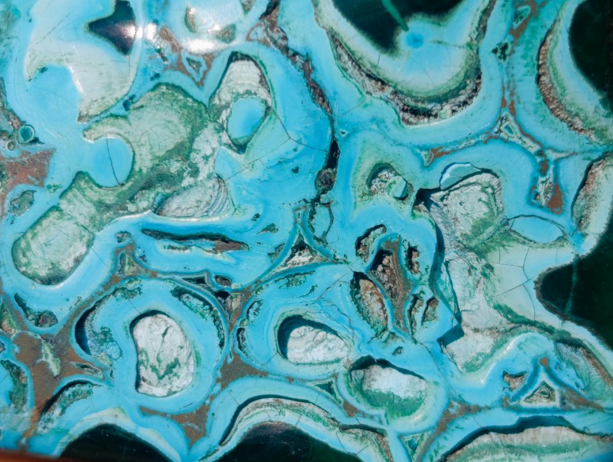 Polished Malacolla Free Forms x 12 From Kulukuluku, Congo - Toprock Gemstones and Minerals 