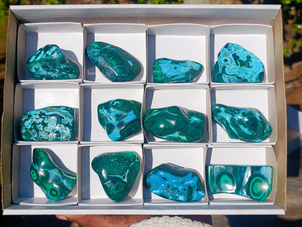 Polished Malacolla Free Forms x 12 From Kulukuluku, Congo - Toprock Gemstones and Minerals 