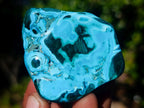 Polished Malacolla Free Forms x 12 From Kulukuluku, Congo - Toprock Gemstones and Minerals 