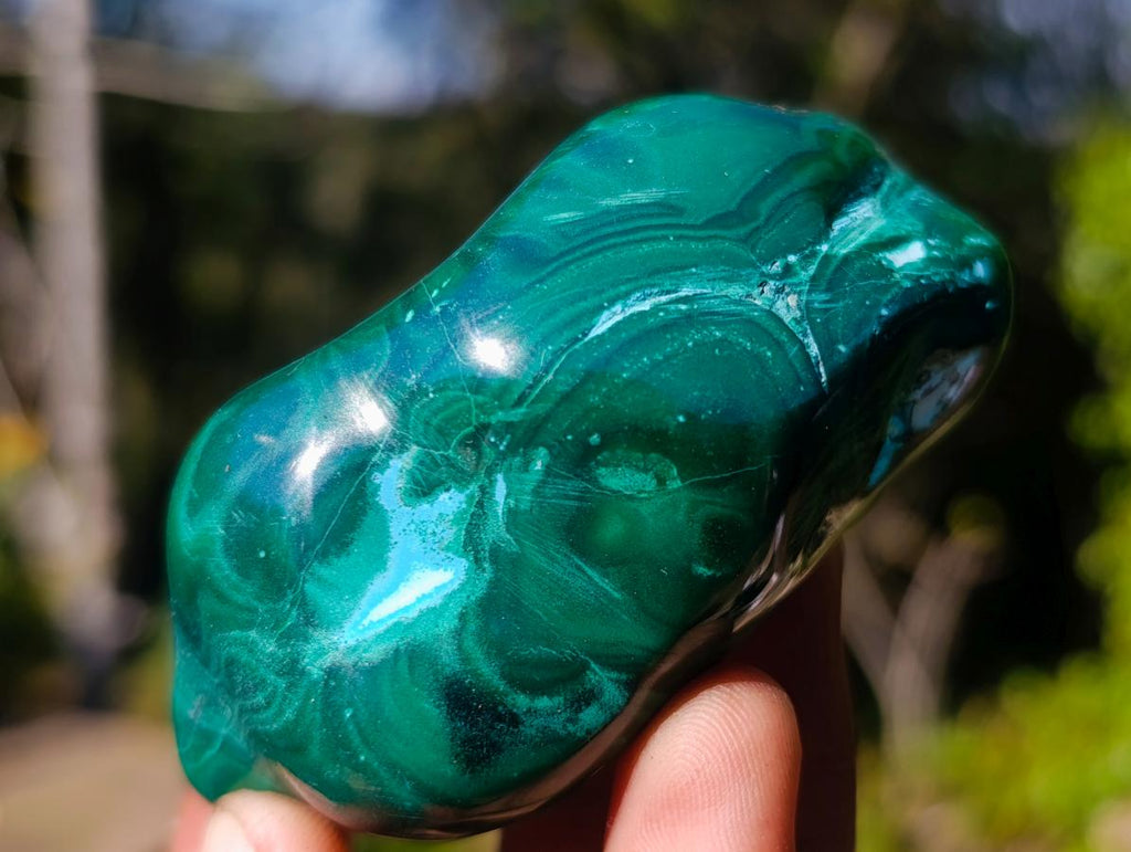 Polished Malacolla Free Forms x 12 From Kulukuluku, Congo - Toprock Gemstones and Minerals 