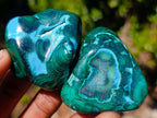 Polished Malacolla Free Forms x 12 From Kulukuluku, Congo - Toprock Gemstones and Minerals 