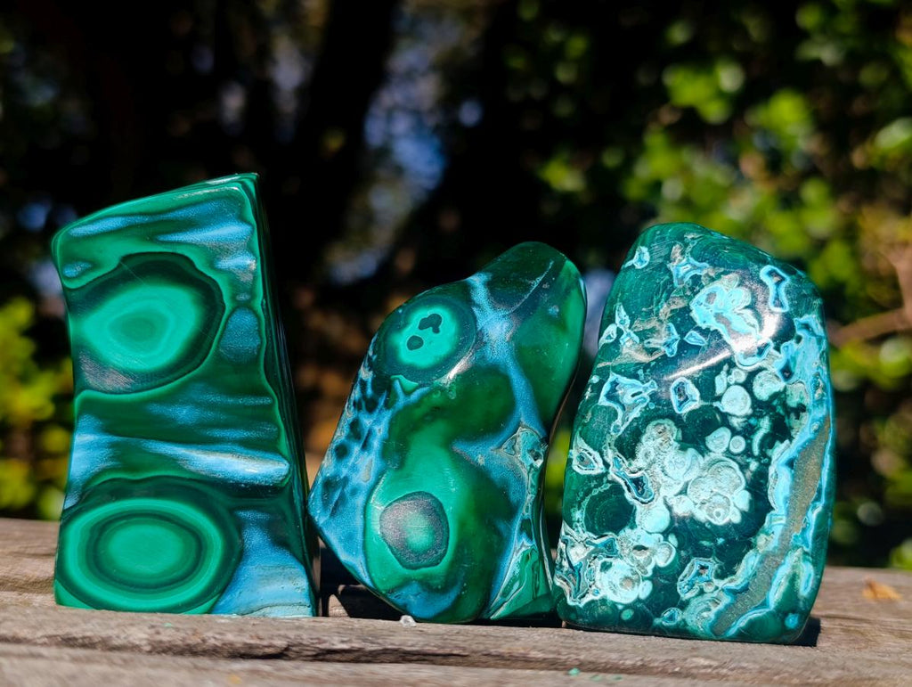 Polished Malacolla Free Forms x 12 From Kulukuluku, Congo - Toprock Gemstones and Minerals 