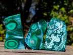 Polished Malacolla Free Forms x 12 From Kulukuluku, Congo - Toprock Gemstones and Minerals 