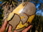 Polished Septerye Standing Display Pieces x 2 From Mahajanga, Madagascar - Toprock Gemstones and Minerals 