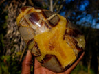 Polished Septerye Standing Display Pieces x 2 From Mahajanga, Madagascar - Toprock Gemstones and Minerals 