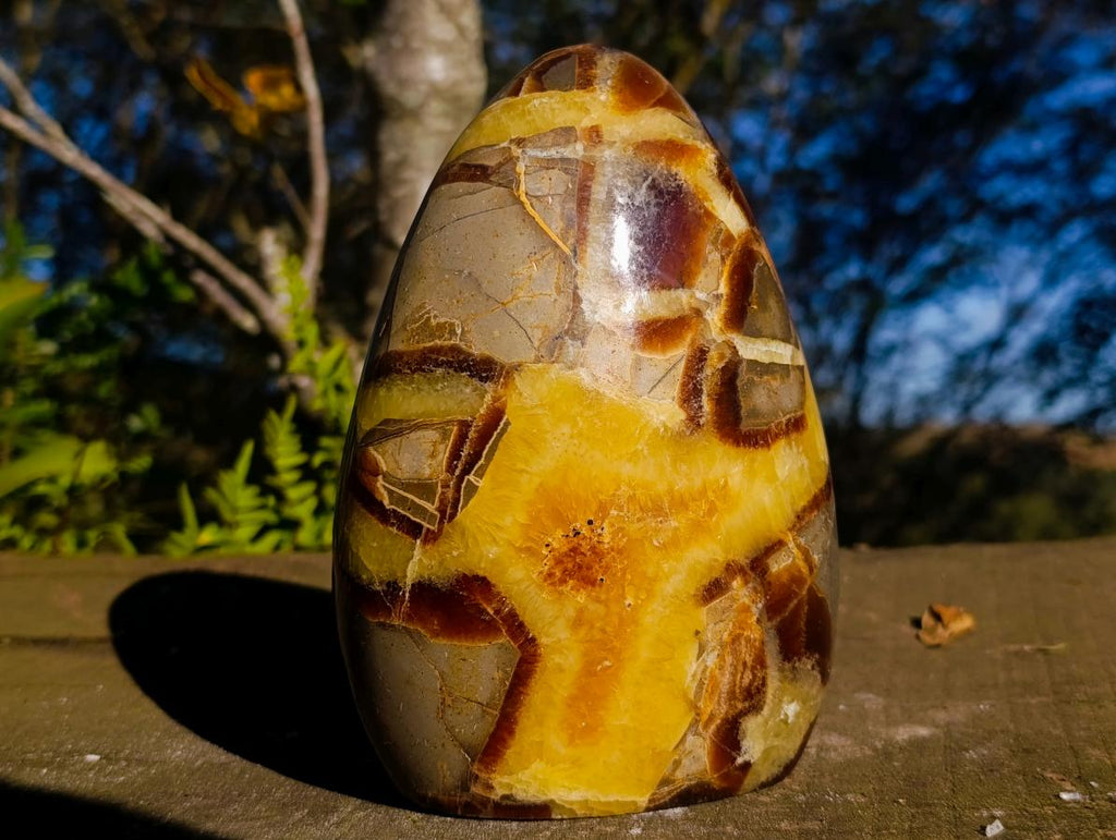 Polished Septerye Standing Display Pieces x 2 From Mahajanga, Madagascar - Toprock Gemstones and Minerals 
