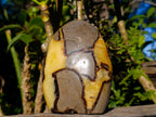 Polished Septerye Standing Display Pieces x 2 From Mahajanga, Madagascar - Toprock Gemstones and Minerals 