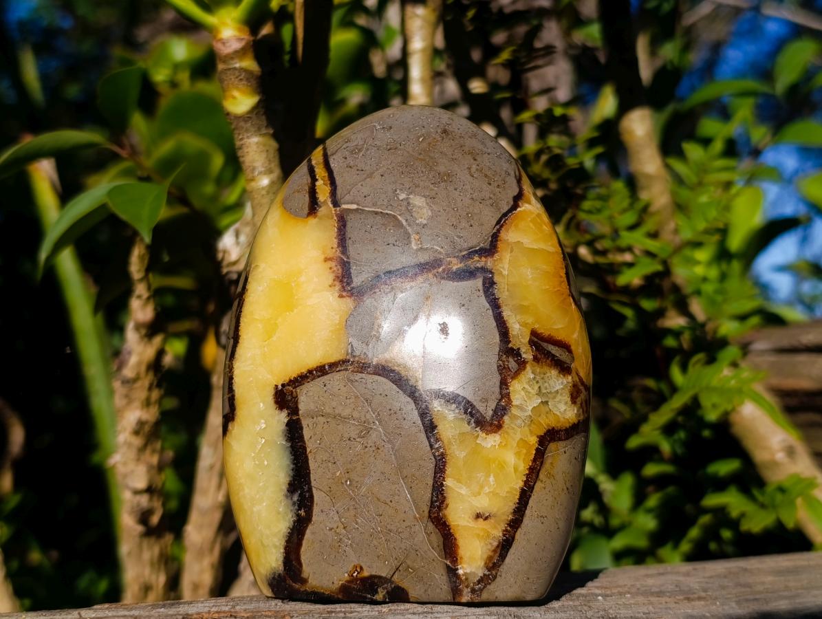 Polished Septerye Standing Display Pieces x 2 From Mahajanga, Madagascar - Toprock Gemstones and Minerals 