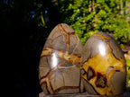 Polished Septerye Standing Display Pieces x 2 From Mahajanga, Madagascar - Toprock Gemstones and Minerals 